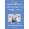 Quantum Physics: an overview of a weird world: A primer on the conceptual foundations of quantum physics