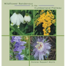 Wildflower Rendevous in the Cumberland Plateau