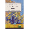 Lost in a Place So Small