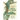 Field Guide to the Reptiles of Thailand