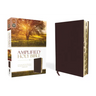Amplified-Am: Captures the Full Meaning Behind the Original Greek and Hebrew