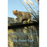 Painting the Cat's Vision