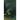 Stardust Media