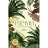 Palmyra