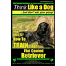 Flat Coated Retriever, Flat Coated Retriever Training AAA AKC Think Like a Dog But Don't Eat Your Poop! Flat Coated Retriever Breed Expert Training: H