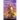 A King's Commander