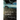Foregone