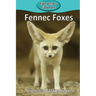 Fennec Foxes