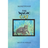 MoneyPenny The Magic Cat