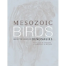 Mesozoic Birds: Above the Heads of Dinosaurs