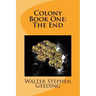 Colony: Book One: The End
