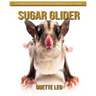 Sugar Glider: A Fun and Educational Book for Kids with Amazing Facts and Pictures