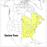 A Peterson Field Guide to Eastern Trees: Eastern United States and Canada, Including the Midwest
