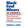 Black Coal Miners in America: Race, Class, and Community Conflict, 1780-1980