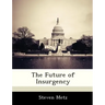 The Future of Insurgency