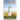 Blissful Body - Painless Path: Learn how to recognize the causes of chronic pain, and free yourself for life! Imagine the relief...