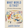 What World Is This?: A Pandemic Phenomenology