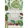 Houseplants 101: How to choose, style, grow and nurture your indoor plants