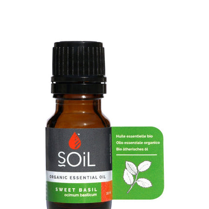 Organic Basil Essential Oil (Ocimum Basilicum) 10ml by SOiL Organic Aromatherapy and Skincare