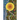 The Road to Eden: The Journey Home