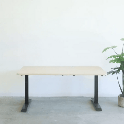 MotionGrey - Motion Series - Standing Desk with Table Top by Level Up Desks