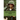 The Vietnam War: A History Just for Kids!