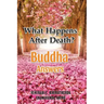 What Happens After Death-Buddha Answers