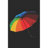 It's not often that a rainfall makes a rainbow inside me