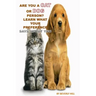 Are You A Cat Person Or A Dog Person?: Learn What Your Preference Says About You