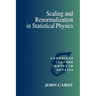 Scaling and Renormalization in Statistical Physics