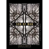 Son of Man: Retelling the Stories of Jesus