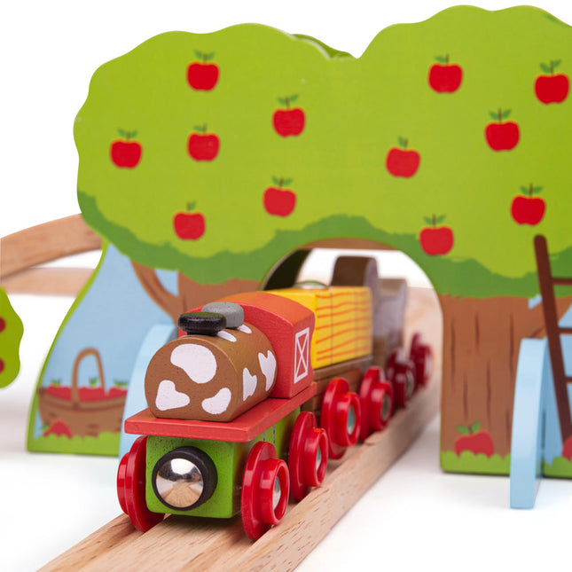Farm Train Set by Bigjigs Toys US
