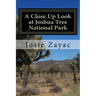 A Close Up Look at Joshua Tree National Park