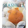 Next Time You See a Seashell