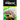 Hedge Hogs - Kids Explore: Animal books nonfiction - books ages 5-6