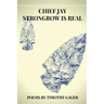 Chief Jay Strongbow is Real