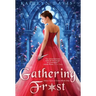 Gathering Frost