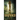 Kingmaker