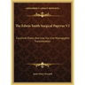 The Edwin Smith Surgical Papyrus V2: Facsimile Plates And Line For Line Hieroglyphic Transliteration