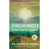 Synchronicity: The Magic. The Mystery. The Meaning.