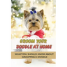 Groom Your Doodle At Home: What You Should Know About Grooming A Doodle: Home Dog Grooming For Your Doodle