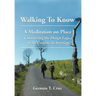 Walking To Know: A Meditation on Place Considering the Design Legacy if the Camino de Santiago