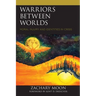 Warriors between Worlds: Moral Injury and Identities in Crisis
