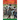 A Reader in African-Jamaican Music Dance and Religion