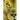 The Lion's Eye: Seeing in the Wild