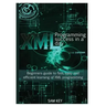 XML Programming Success In A Day