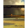 Picnic, Lightning