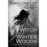 The Witch of the Winter Woods: Large Print: A Paranormal Christmas Tale