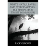 White Hats, Leaves, and Pterodactyls...Fly Fishing for Trout in Missouri