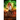 Virgo Incognito: A Fated Mates Superhero Saga
